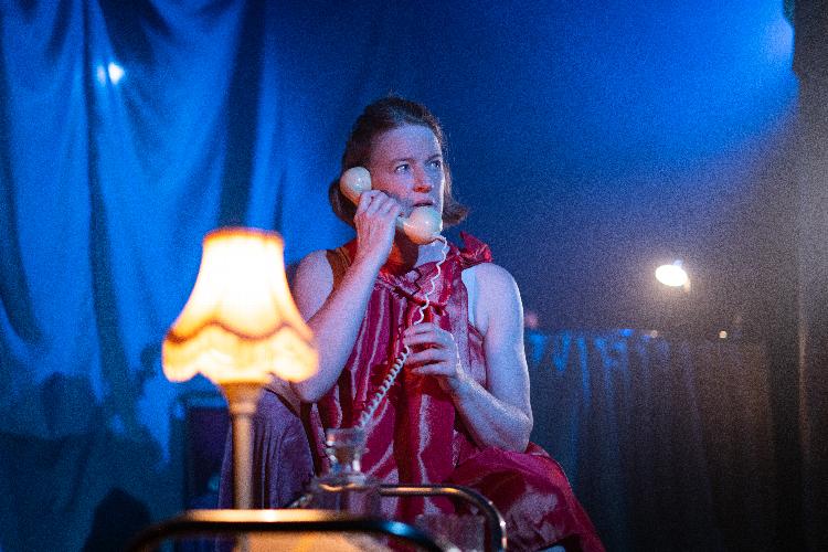 Battersea Bardot - New Wimbledon Theatre - Review A raw, but nonetheless compelling insight into the sad tale of Carole White