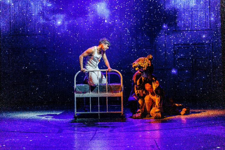 Life of Pi - Review - Wyndham’s Theatre “If these are not the answers you want, you must ask different questions”
