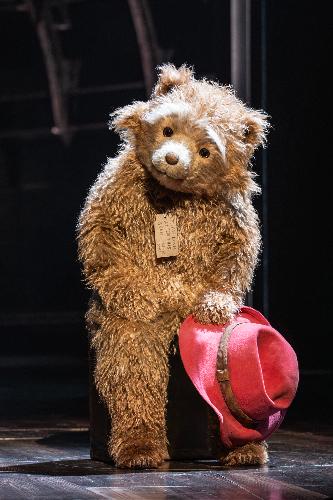 Paddington extends its run - News Long life to the bear!
