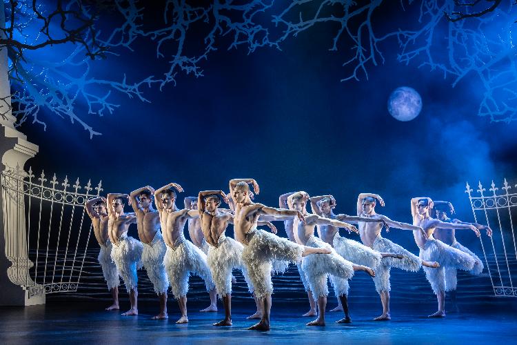 Matthew Bourne’s Swan Lake - Review - New Wimbledon Theatre  Thirty years on, this bold reimagining still has the power to thrill and move audiences
