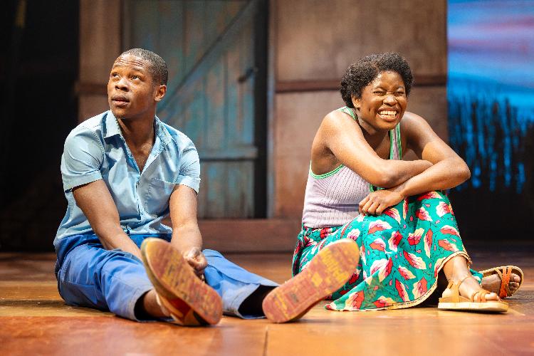 The Boy Who Harnessed the Wind - Review - @sohoplace A Musical Powered by Hope, Heart and Humanity