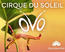  Cirque du Soleil has added 38 final performances of OVO - News The show opens at the Royal Albert Hall on 9 January