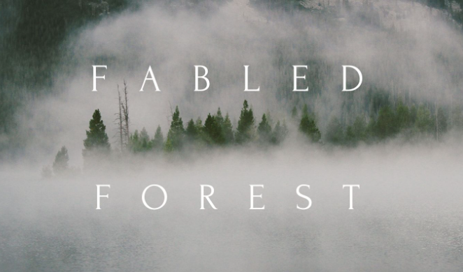 Fabled Forest - Review An evocative fusion of music and nature that needed to give its audience more time to stop, look and listen