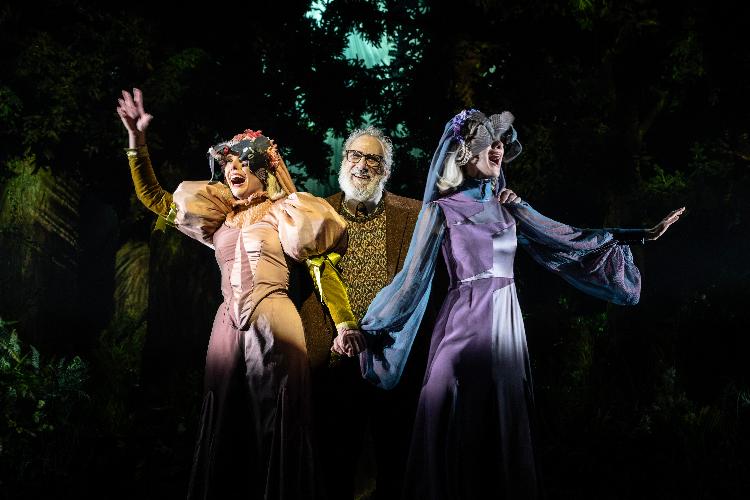 Into The Woods - Review - Noel Coward Theatre Sondheim's enchanted forest has crossed the river and settled in the West End