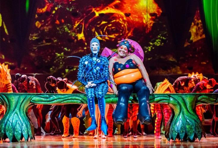 Ovo - Review - Royal Albert Hall Cirque du Soleil is back!